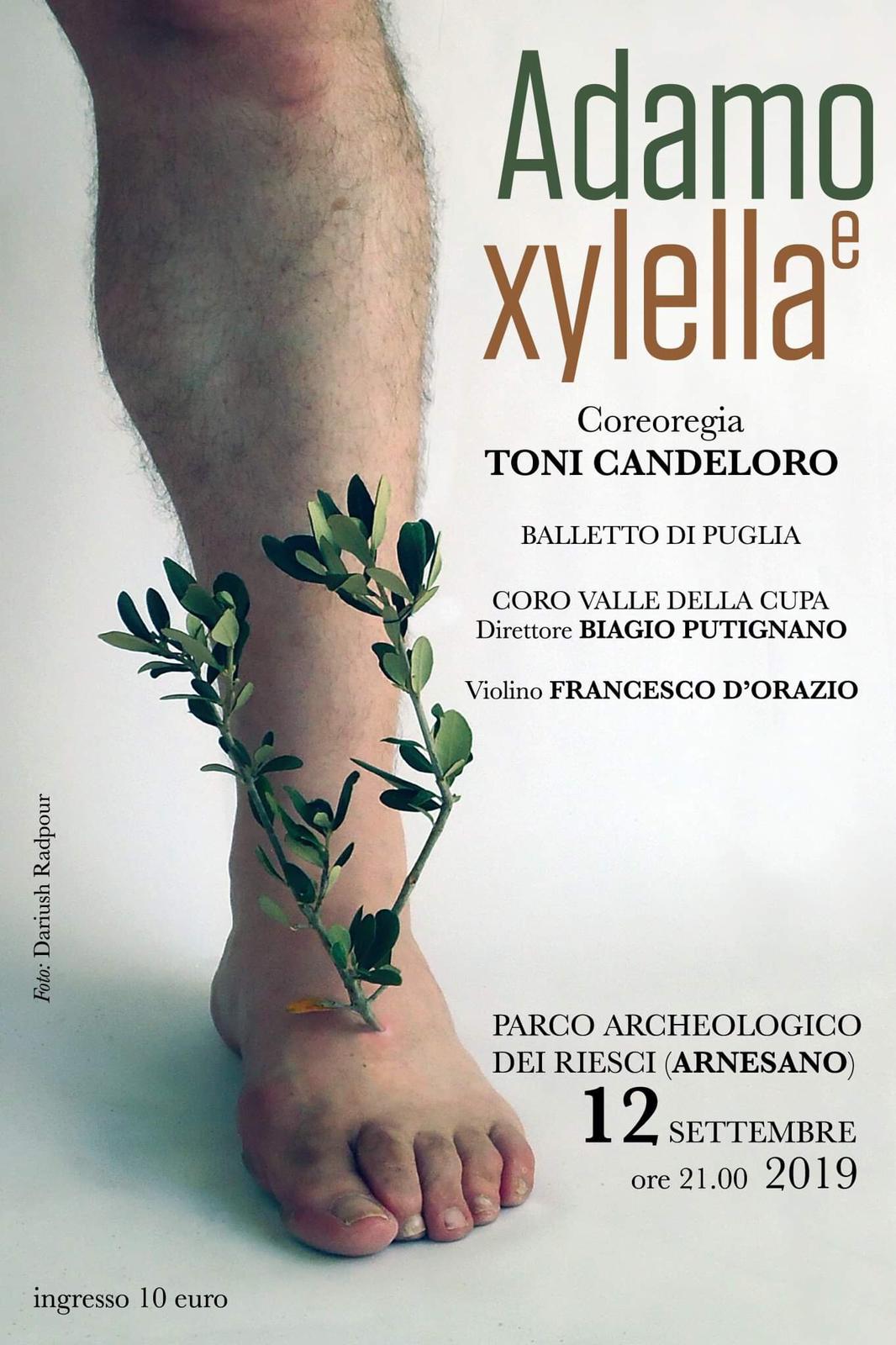 Adamo e Xilella 12 settembre 2019 copy