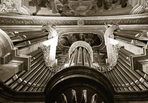organo Vienna