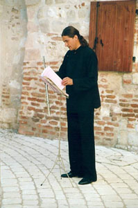 veilhan